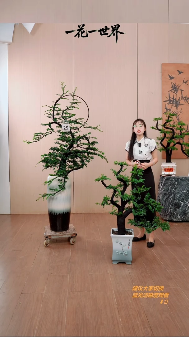 无花朵木*姐【闪购链接】桌面款链接
