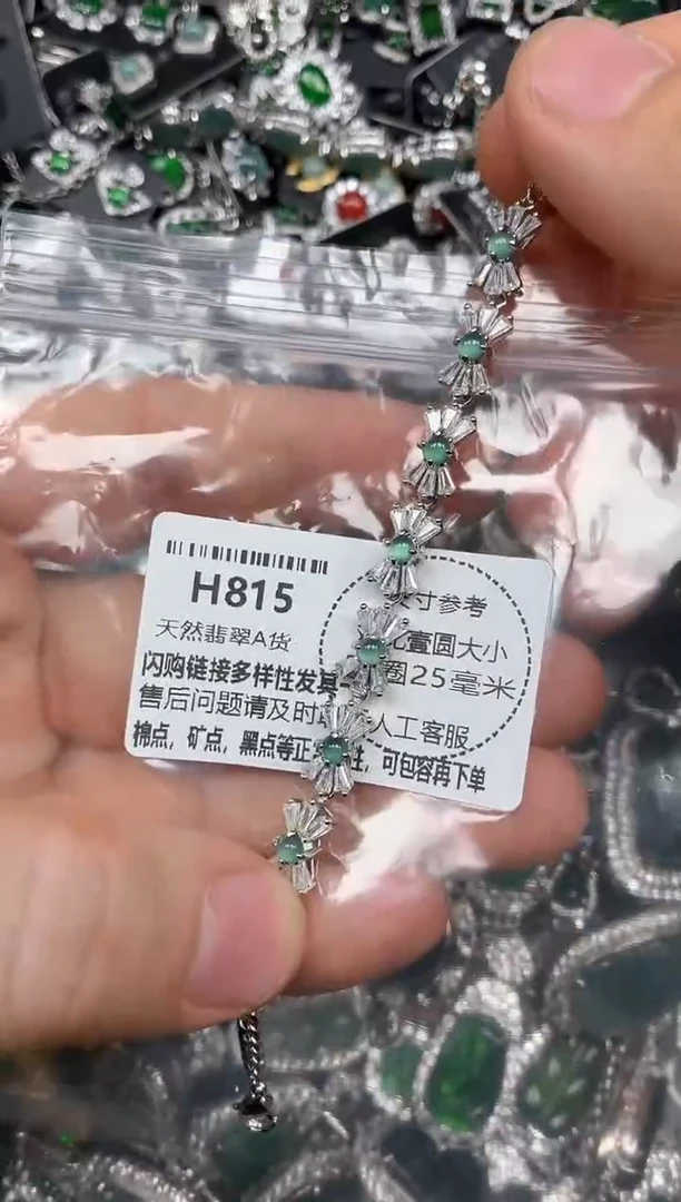 颈饰未镶嵌翡翠H815手链