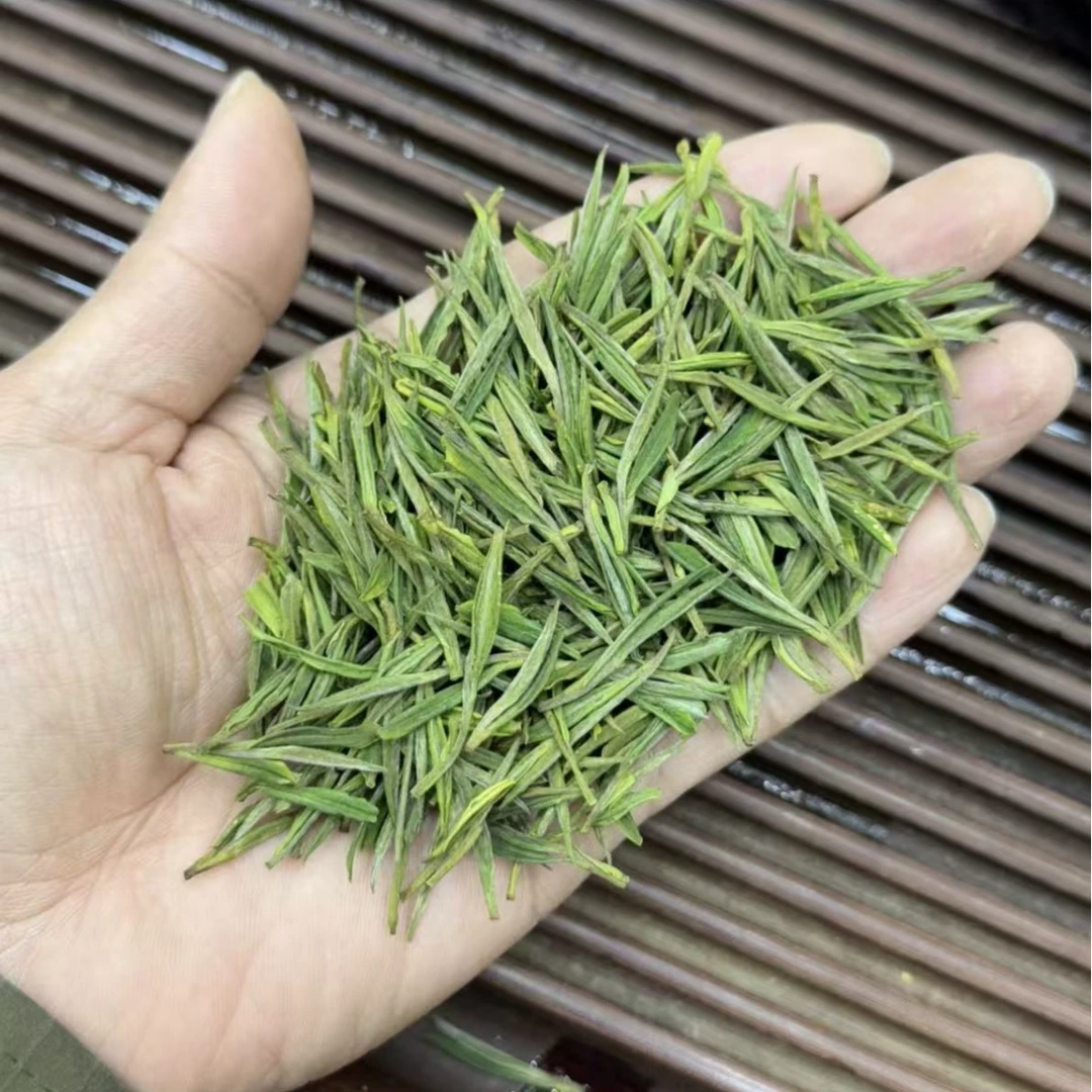 端午福利款 安吉白茶（福利小芽） 溪龙原产地白茶