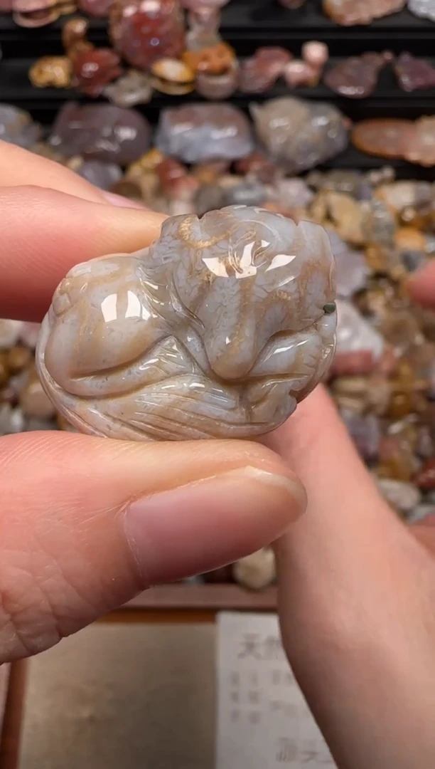 硅化珊瑚（珊瑚玉）未镶嵌颈饰035