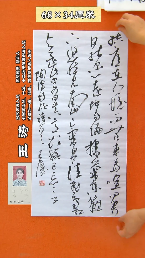 书法249R王涛书法作品