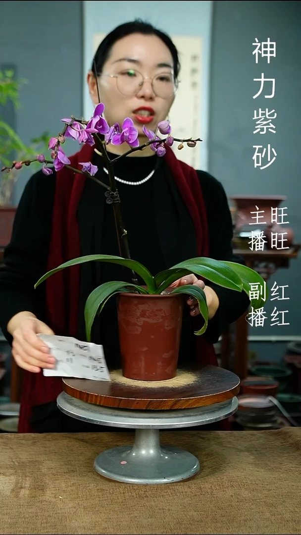 紫砂花盆1451 紫砂花盆紫砂