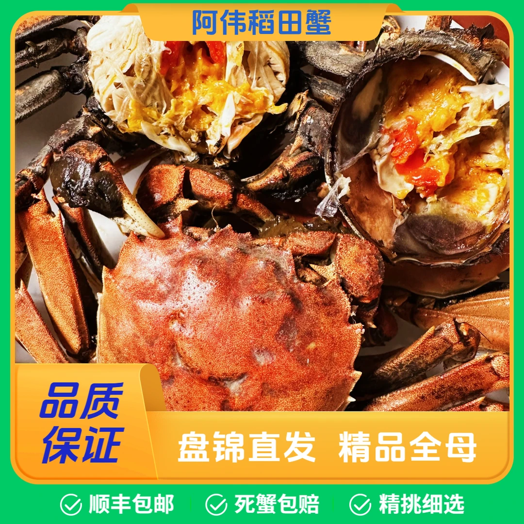 【活蟹】 正宗盘锦河蟹 0.9-1.2两 3斤装 全母 （25-31只）