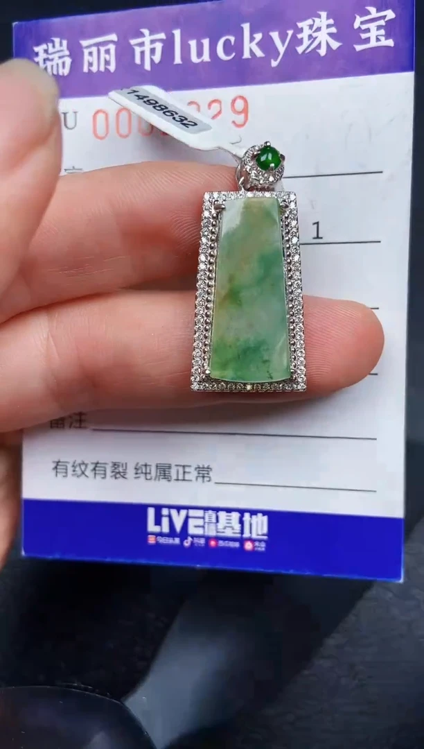 翡翠银S925镶嵌颈饰2229