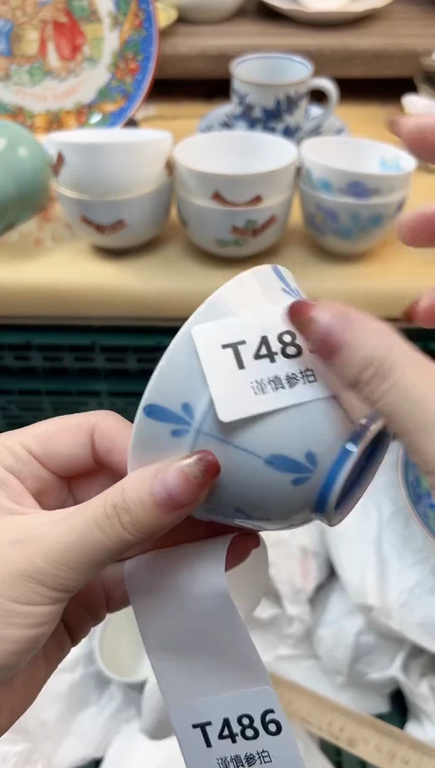 瓷片蓝**洋 485