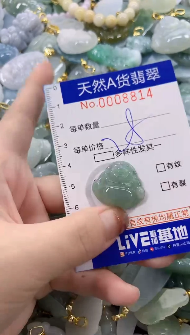 颈饰未镶嵌翡翠天然A货翡翠