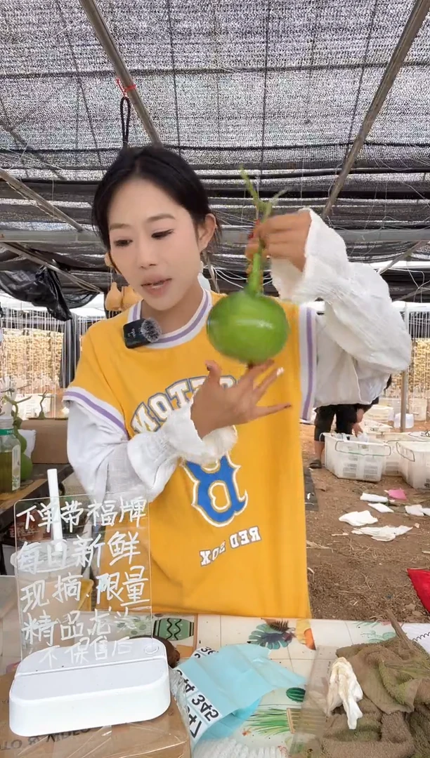 344天然葫芦摆件 一物一拍龙头不保售后