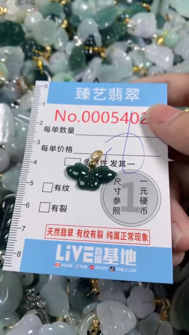 吊坠(不含链)未镶嵌翡翠5402