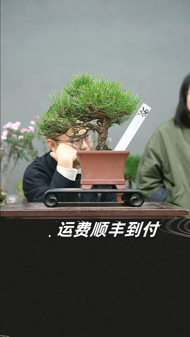 孙*39