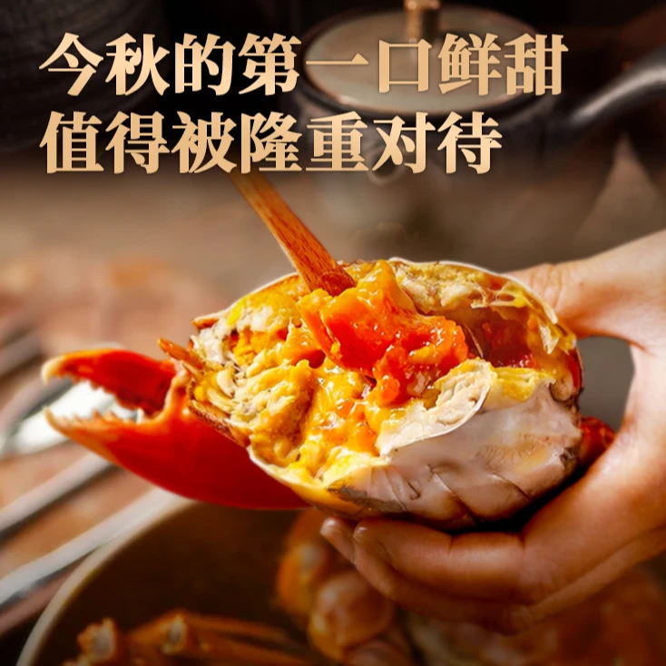 蟹师会【2.5两全母】大闸蟹 2.5两活蟹10只礼盒装  肉质鲜甜可口