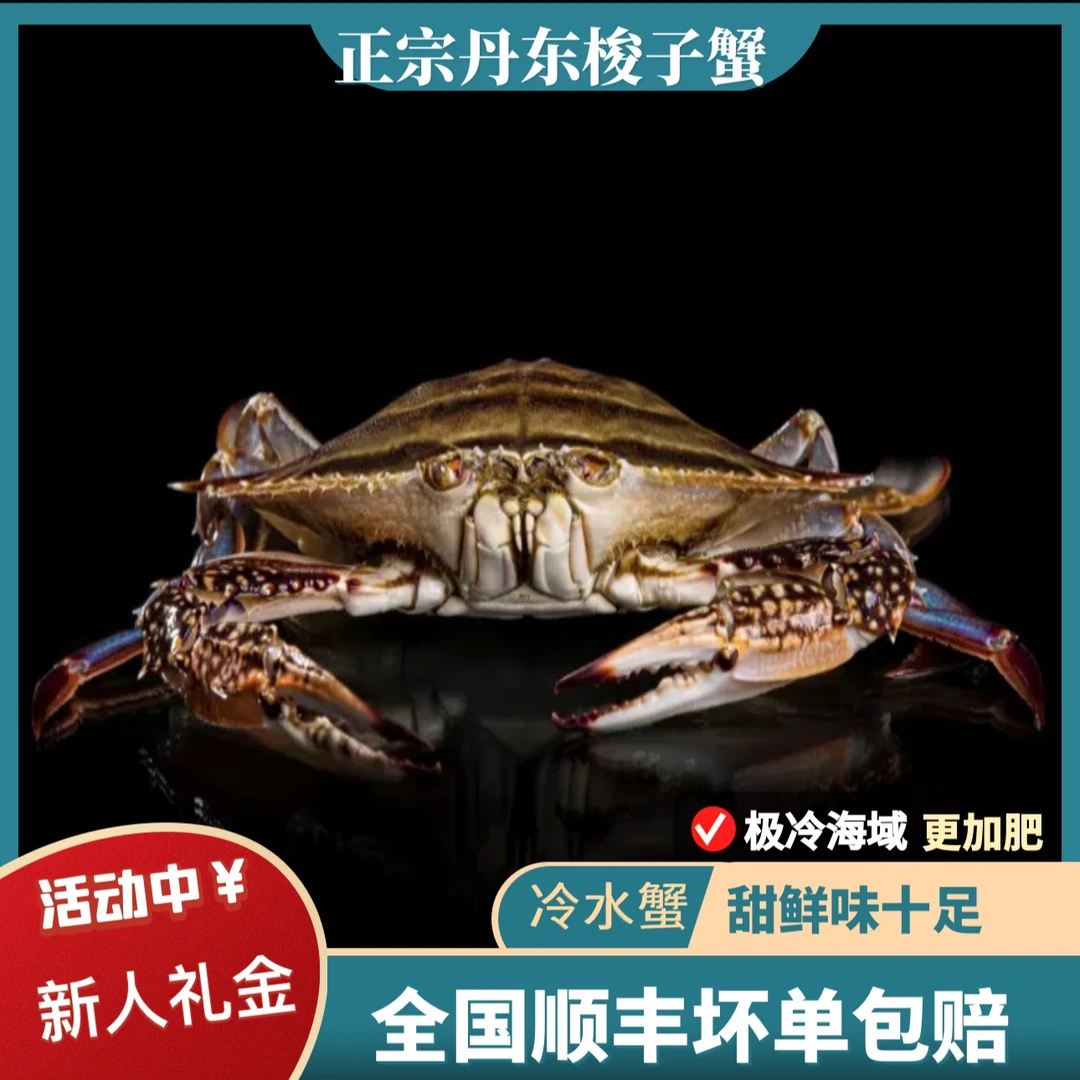 【保鲜不保活】中公蟹东港梭子蟹顺丰3斤飞蟹（单只3-5两左右）膏蟹