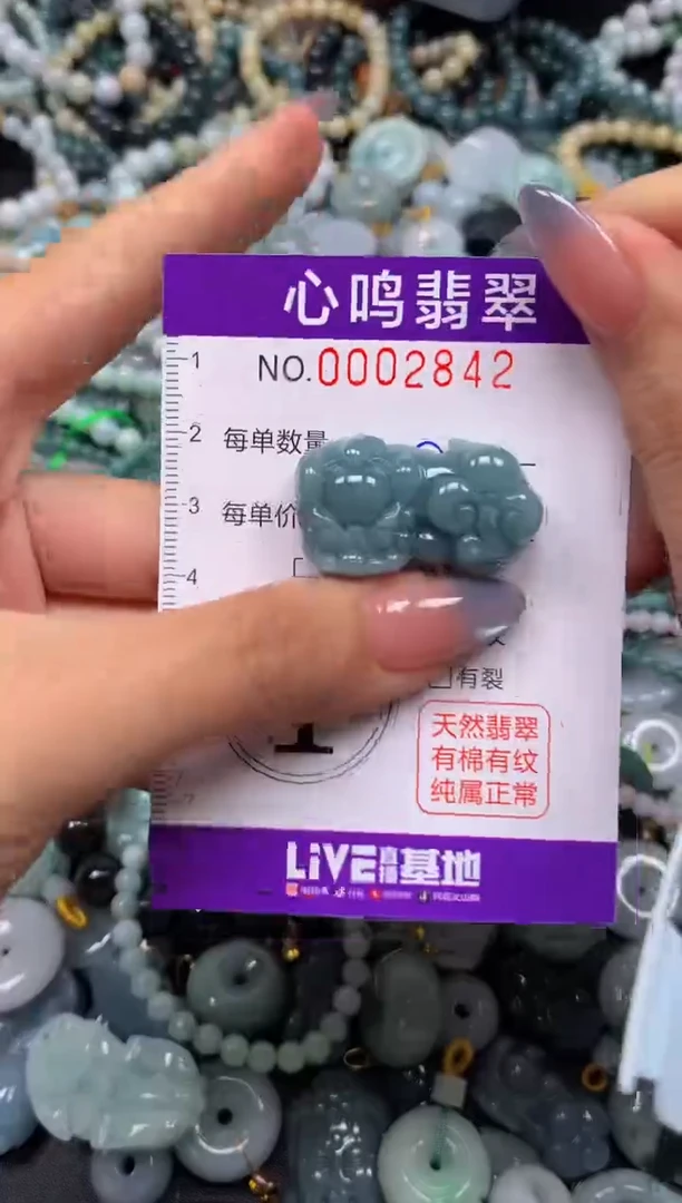 颈饰未镶嵌翡翠闪购002842
