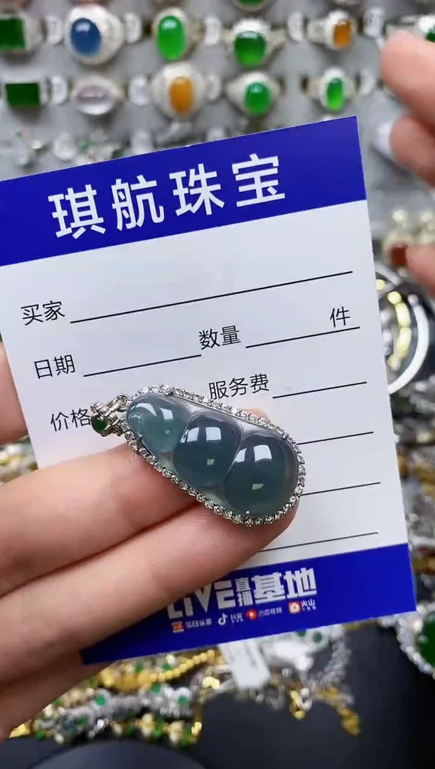 【闪购商品】翡翠颈饰银S925镶嵌0569