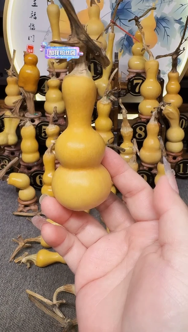 惊*福利葫芦高端客户