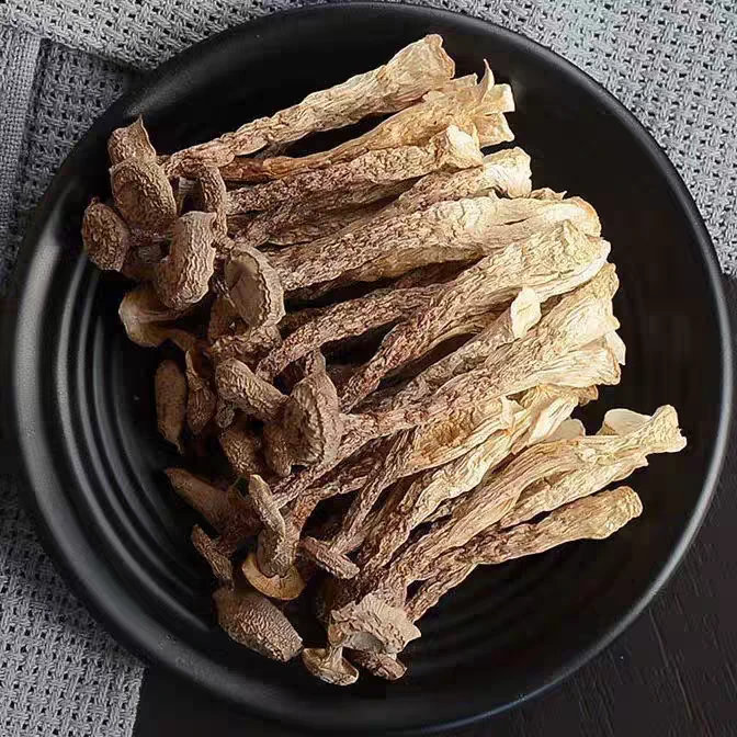 云南食材高山乡村农家新鲜干货菌菇晒干茶树菇干货菇鹿茸菇脆脆菇