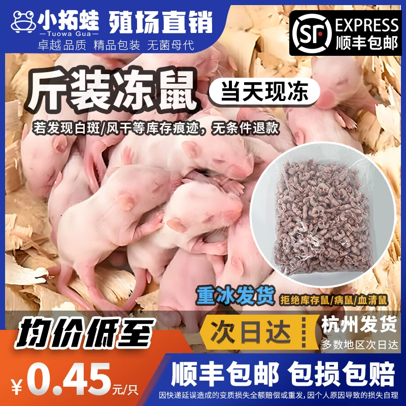冷冻乳鼠顺丰包邮宠物猫冰冻白霜蜥蜴小白鼠爬宠饲料鼠幼崽鼠斤装