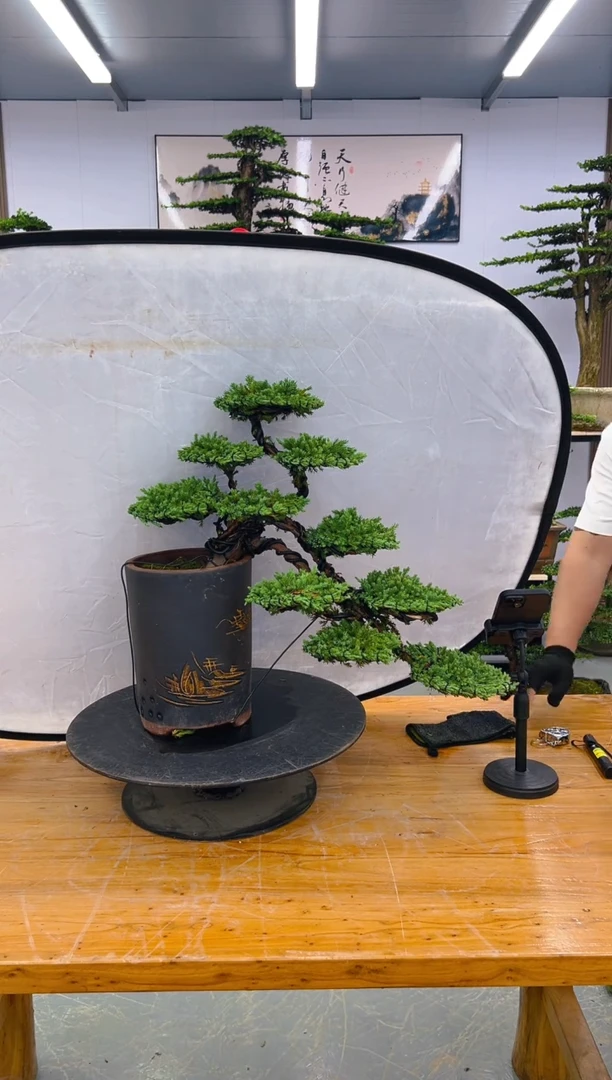 无花朵000000000000