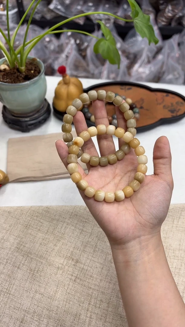 菩提根/象牙果手串11干磨不挑（746）