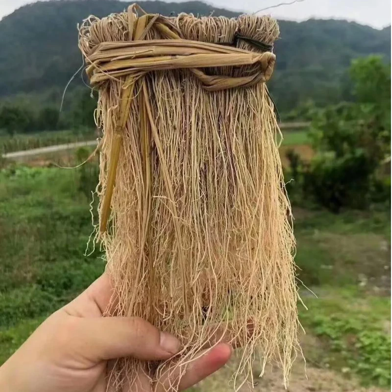 张正带你逛中原早市-【龙须草】