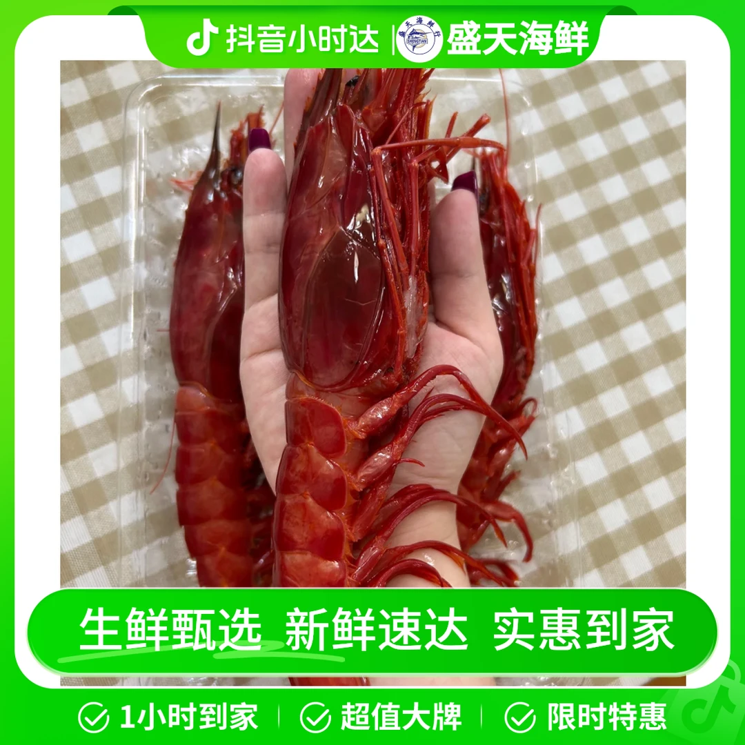 红魔虾1只
