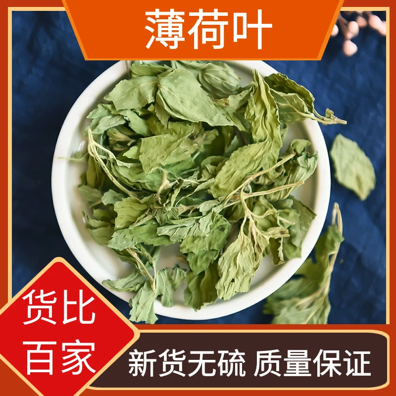 薄荷叶精选晒干薄荷叶新鲜干薄荷叶新货干货包邮泡水泡茶另售杜仲