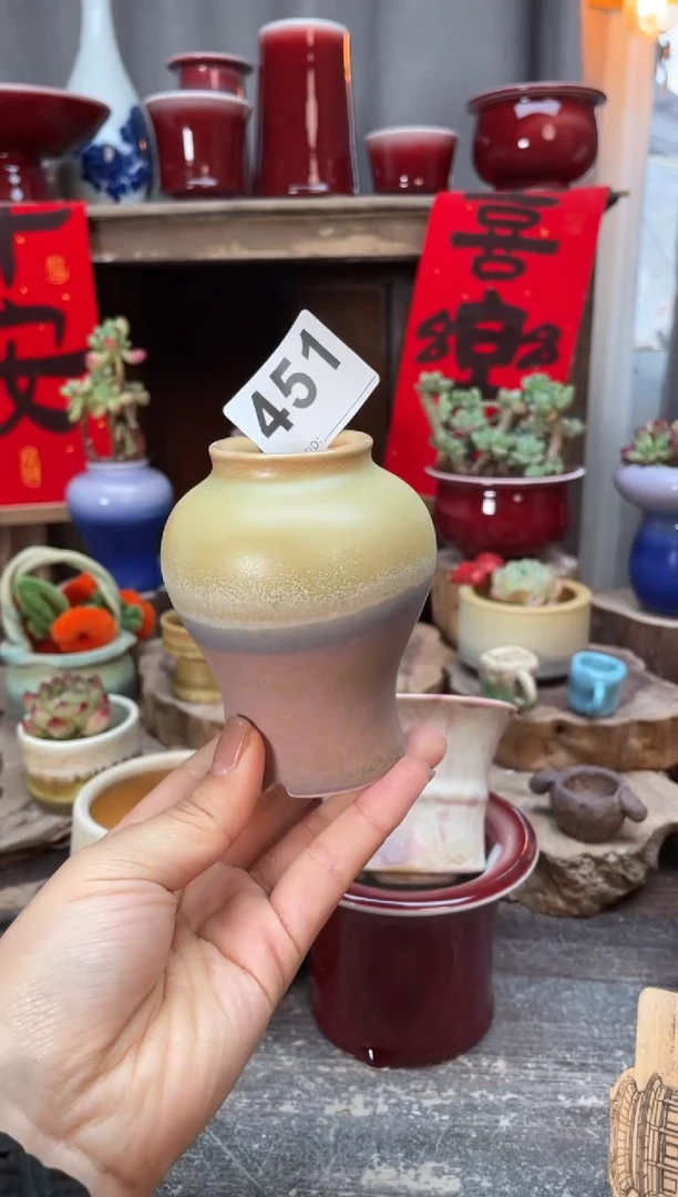 【闪购商品】摆件451知木小芳花盆