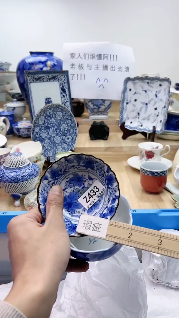 【闪购商品】瓷片433