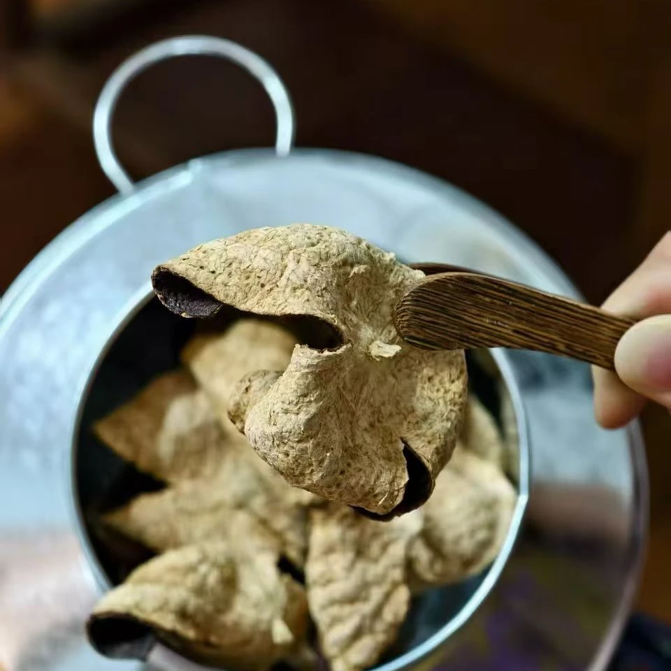 【梅江，冬后皮】2020年梅江圈枝冬后皮 糯香糯甜 梅子香