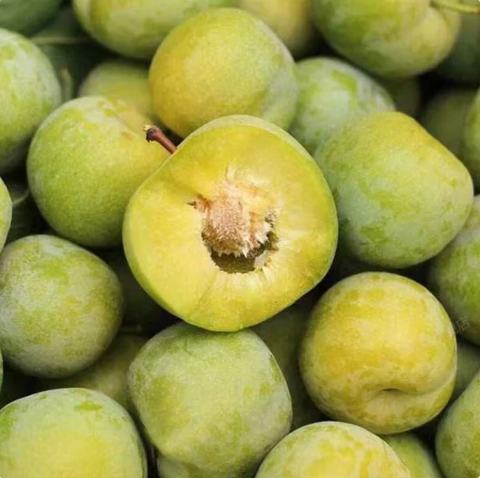 新鲜脱骨青脆李应季酸甜可口水果