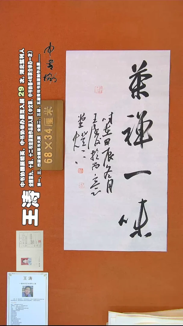 【闪购商品】书法206王涛书法作品