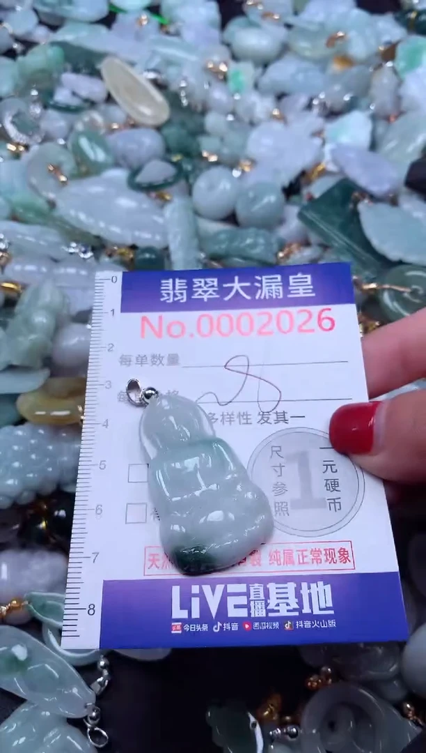 颈饰未镶嵌翡翠2026