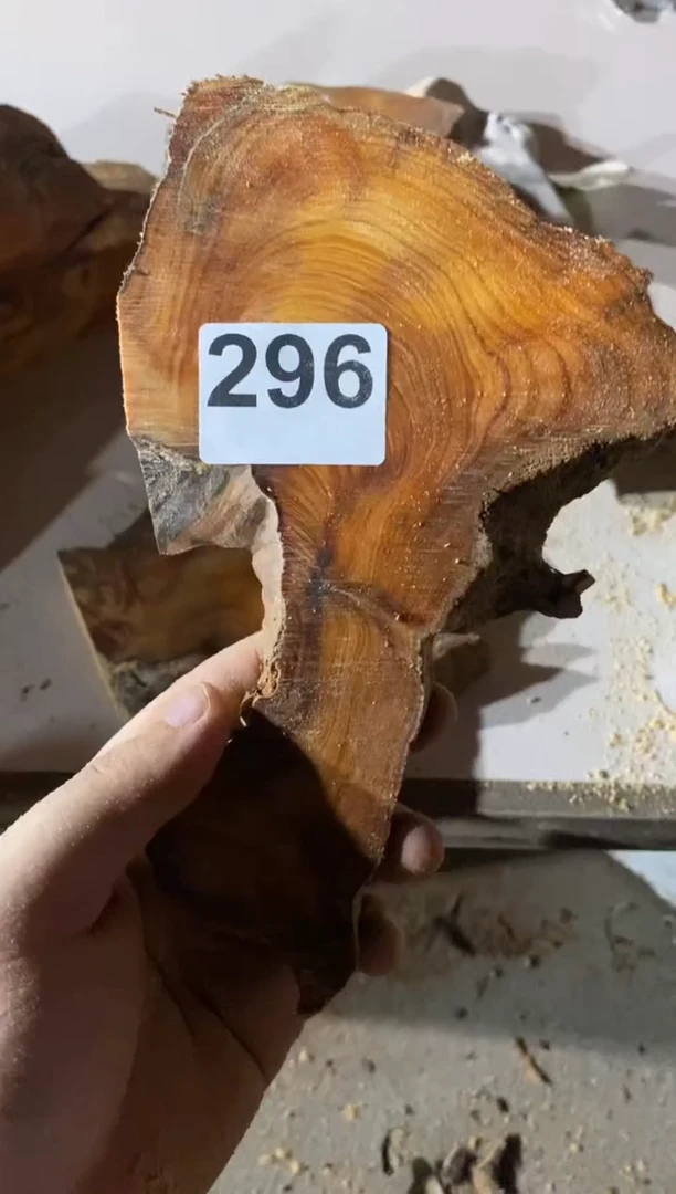 柏木（崖柏）太行陈化崖柏切片一块（津诚林）
