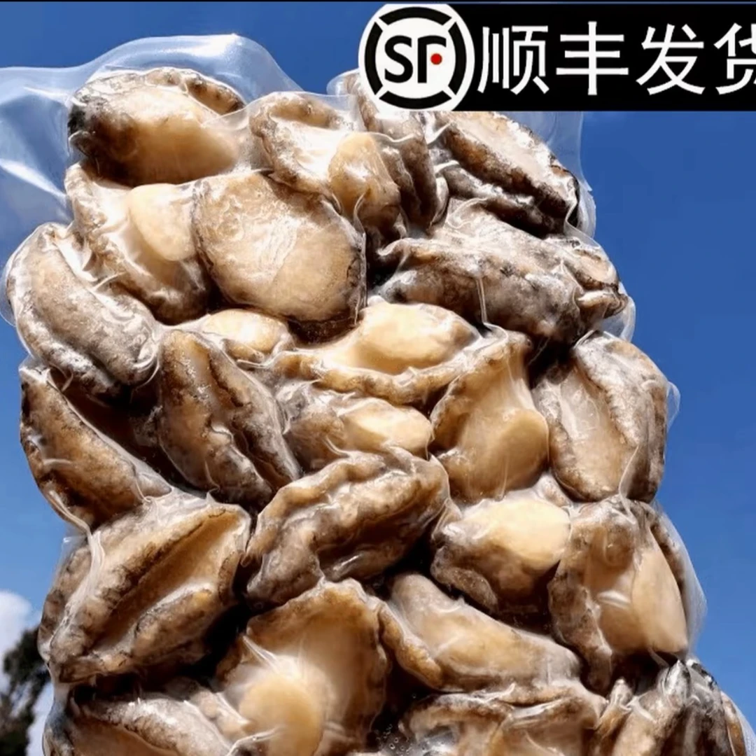 鲍鱼肉九孔鲍鱼13-14只/400g顺丰冷链鲜活发货