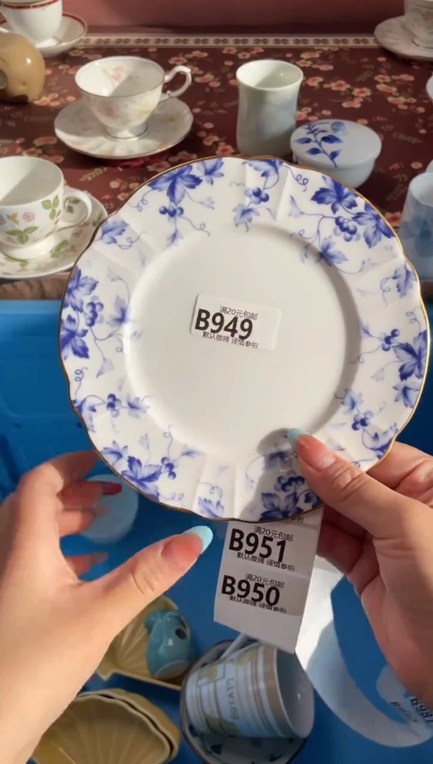 瓷片1****1瓷器瓷器B949