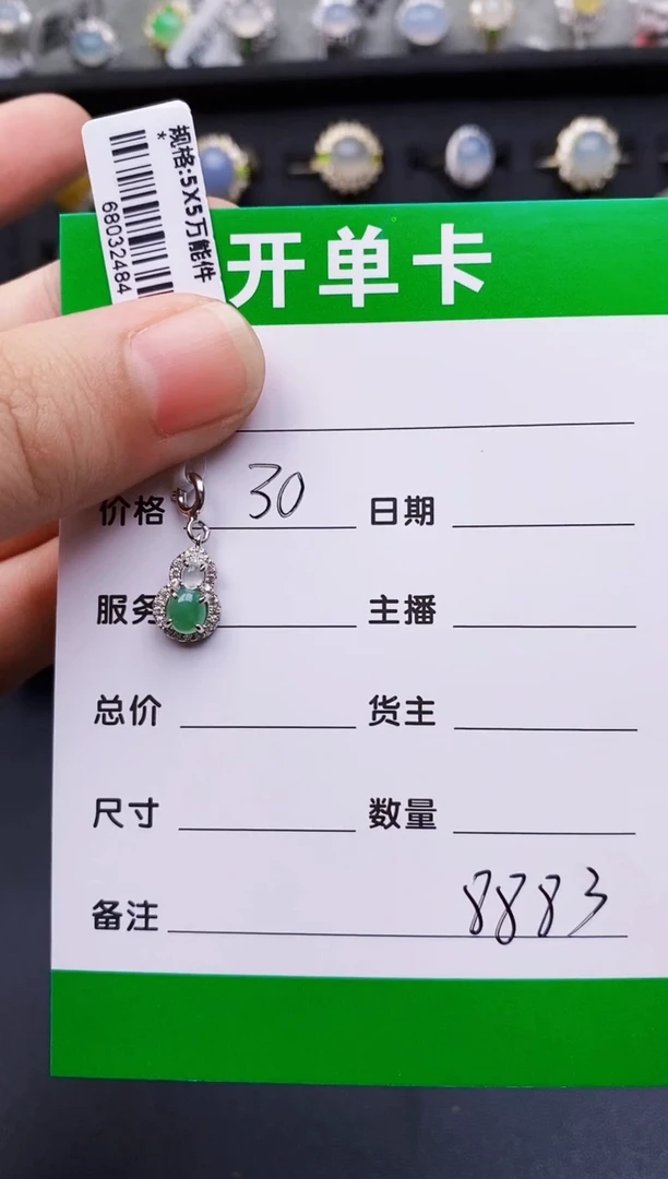 翡翠银S925镶嵌颈饰8883