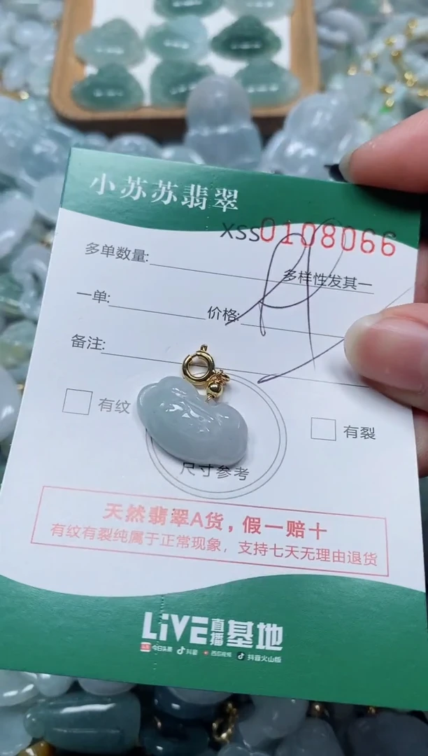 【闪购商品】翡翠颈饰未镶嵌闪购商品0108066