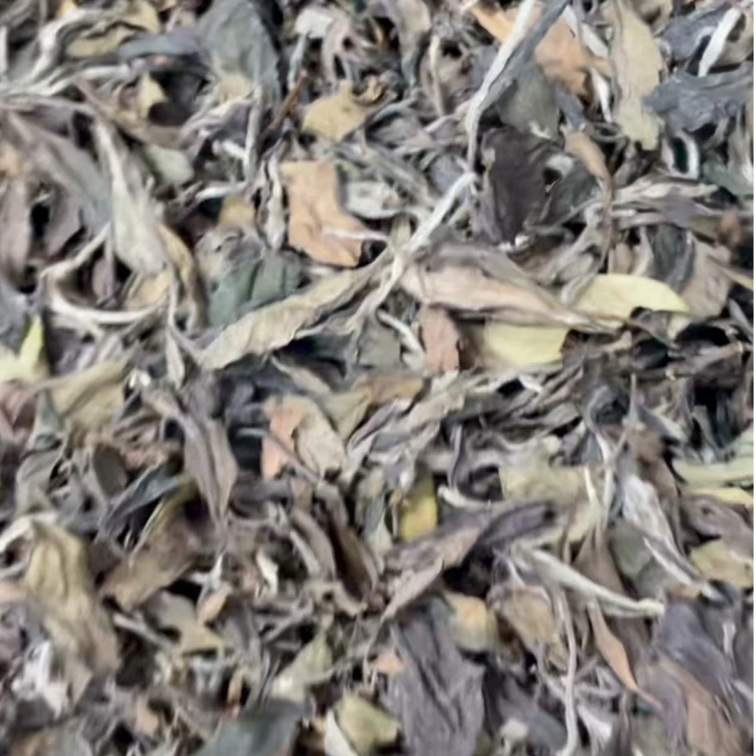 临时链接 2019荒野春寿眉散茶