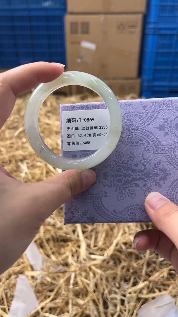 未镶嵌手镯石英质玉T-0869