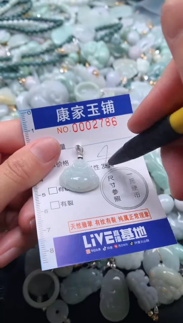 颈饰未镶嵌翡翠2786