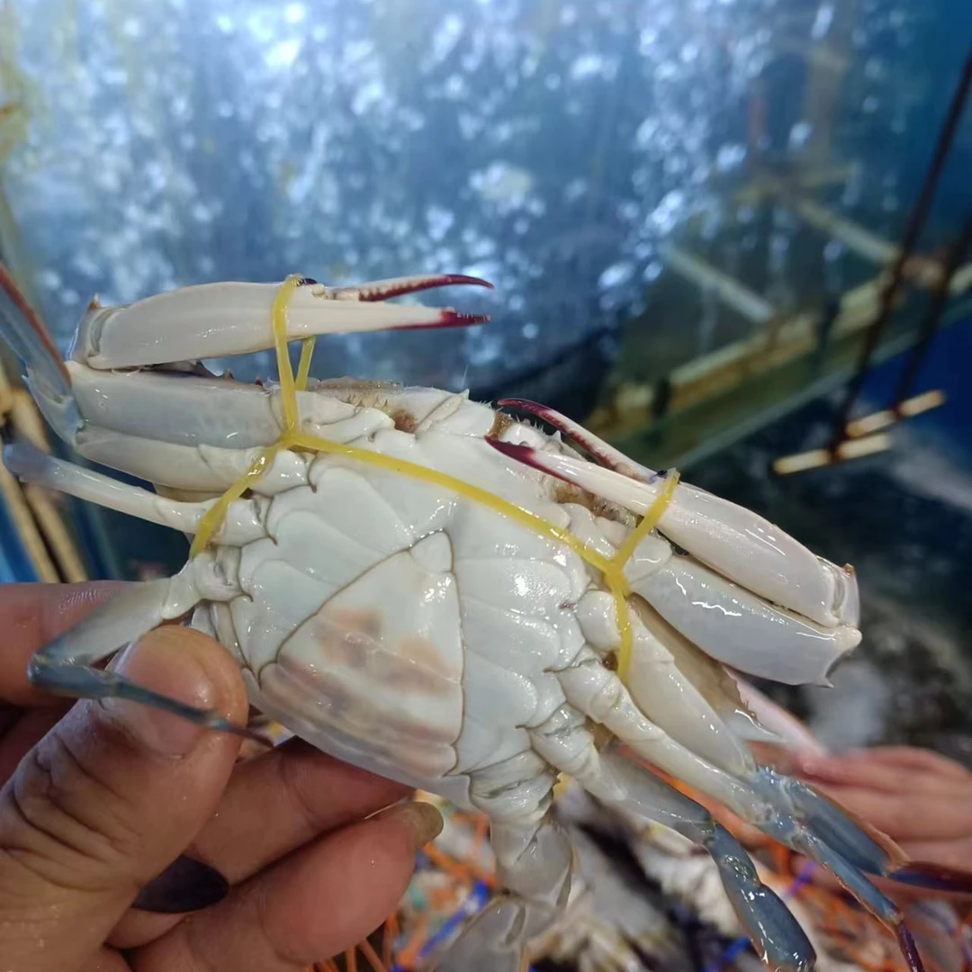 外地可拍 【保鲜不保活】养殖小姑娘蟹（13-15只）（2-3两）三斤包邮