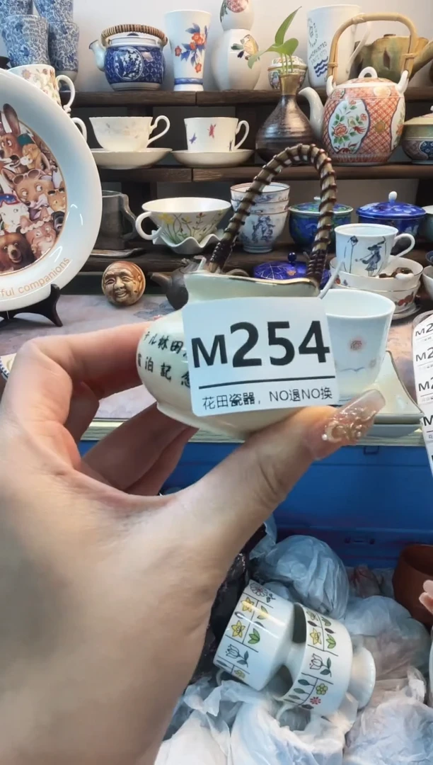 瓷片浅**然L254不退不换.感谢理解