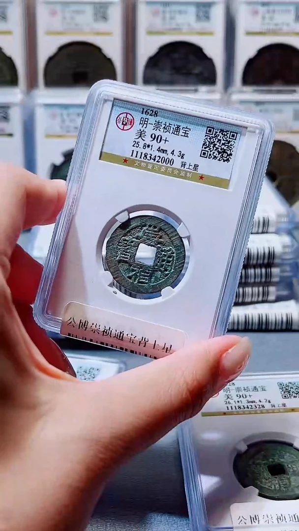 铜A046公博崇祯通宝90+分背上星一枚(柏杨)鬼崇祯