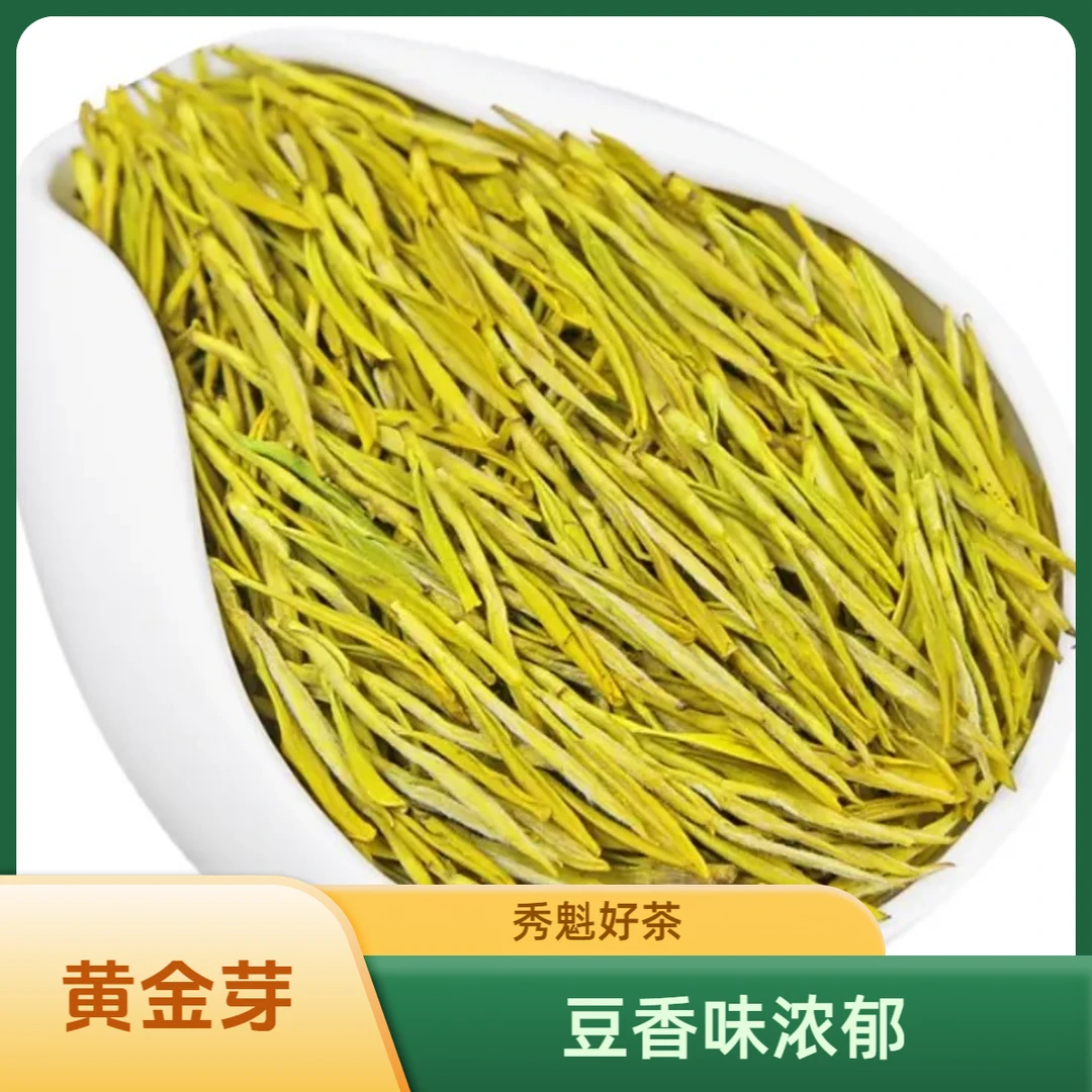 秀魁高山黄金芽2025新茶浓香型绿茶鲜爽回甘耐泡