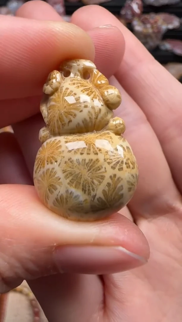 【闪购商品】硅化珊瑚（珊瑚玉）颈饰未镶嵌524