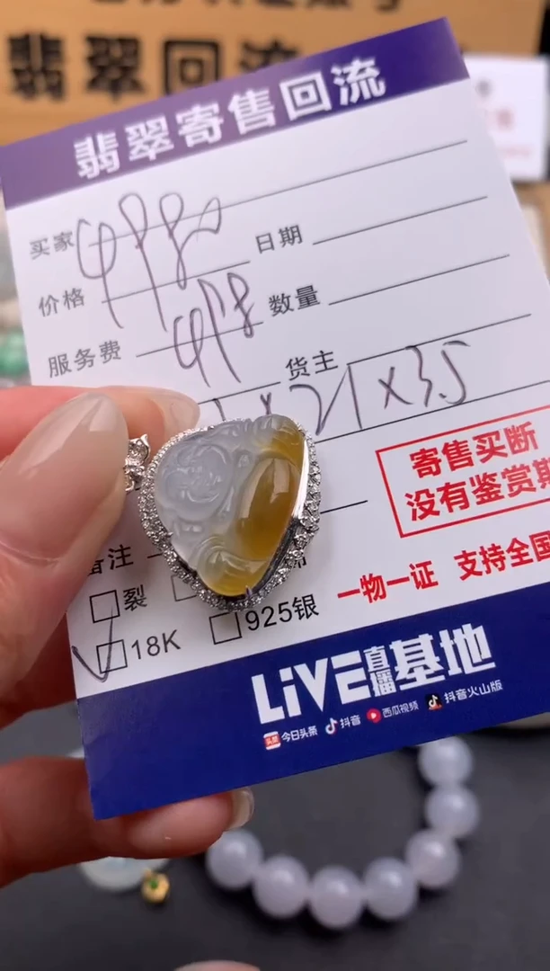 翡翠18K金镶嵌颈饰10134440