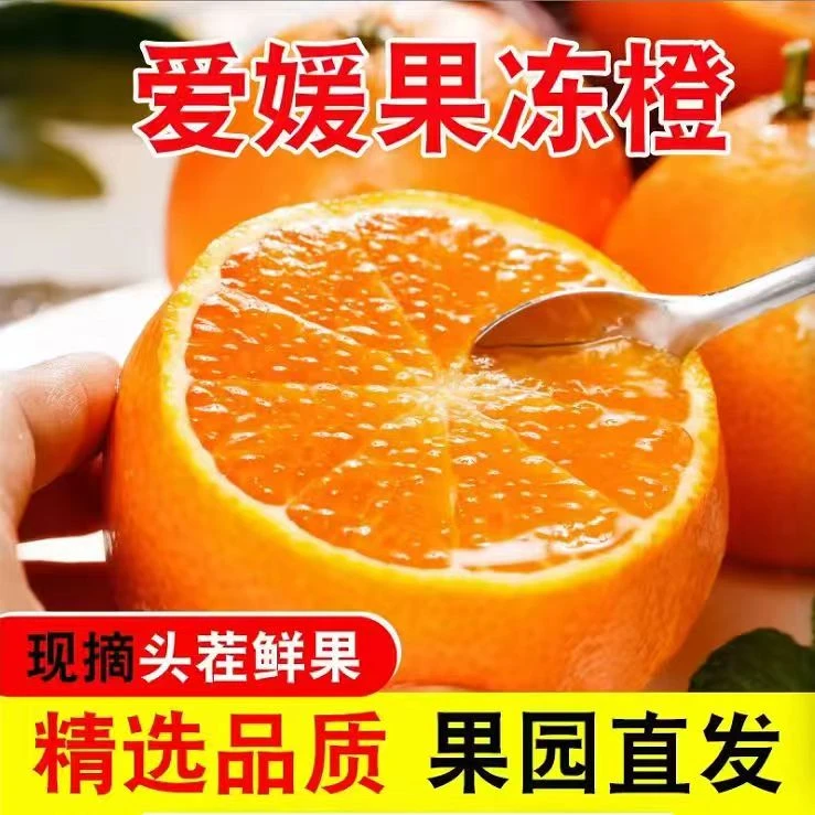 四川果冻橙爱媛多汁现摘香甜多汁橙子皮薄新鲜应季爱媛果冻橙