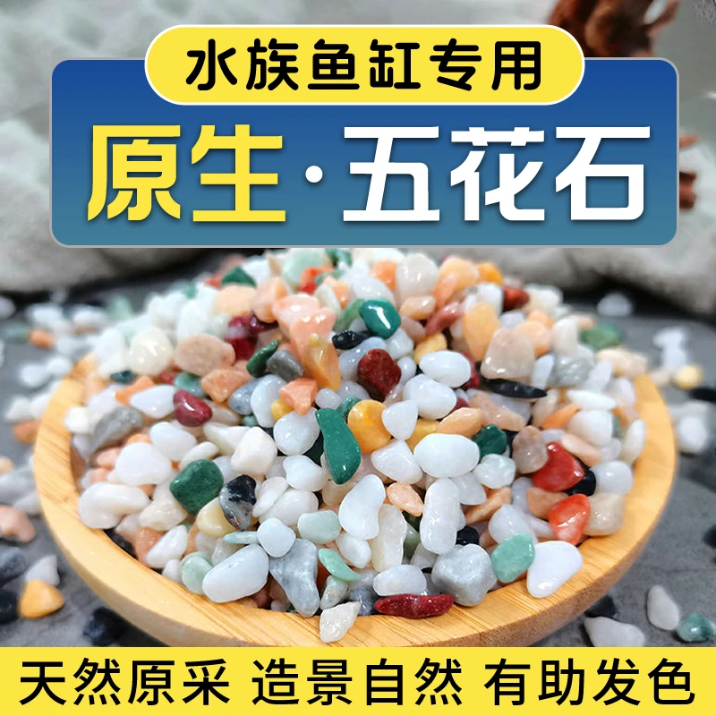 纯天然原生五花石雨花石水族鱼缸造景专用底砂铺底石头颗颗都精筛