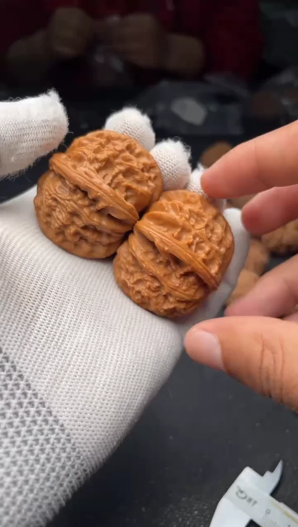 核桃a158   白狮子   43尺