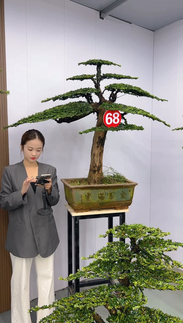 无花朵呀***～000000000