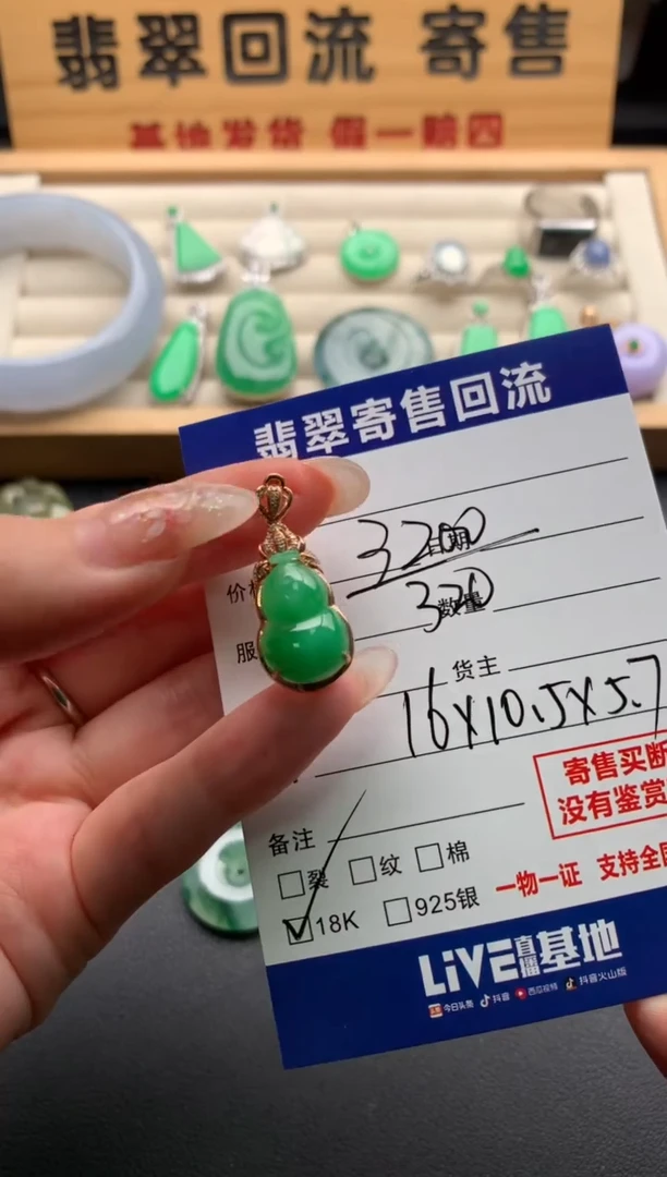 翡翠18K金镶嵌颈饰10136891